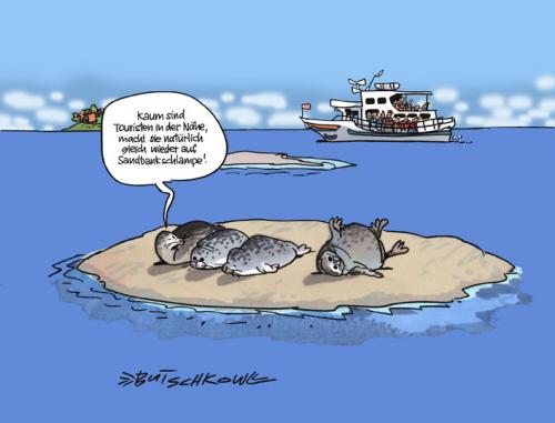 Cartoon: Hinter den Kulissen (medium) by Butschkow tagged ozean,ocean,tourismus,touristen,tourists,robbe,seal,ozean,ocean,tourismus,touristen,tourists,robbe,seal