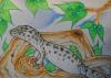Cartoon: Leopardgecko (small) by Metalbride tagged gecko,tiere