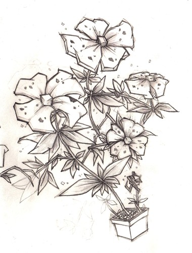Cartoon: Flower sketch (medium) by Playa from the Hymalaya tagged flower,blume