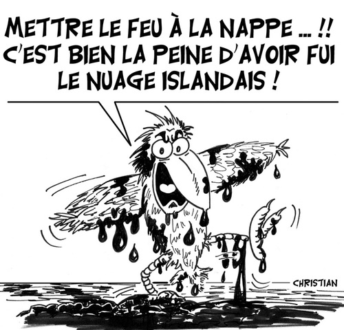 Cartoon: Maree noire ... (medium) by CHRISTIAN tagged maree,noire,petrole,louisiane
