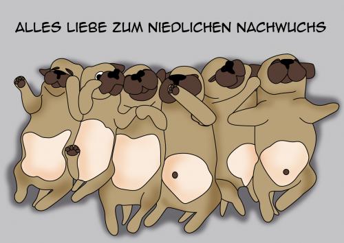 Cartoon: Mopsbabys (medium) by Sandra tagged mops,hund,baby,welpe,geburt,nachwuchs,freude,liebe,feier,fest