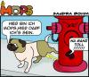 Cartoon: Mops (small) by Sandra tagged mops pet dog 
