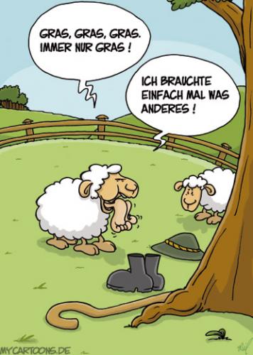 Cartoon: Schafsfutter (medium) by mil tagged schaf,hunger,ernährung,mil,