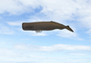 Cartoon: Wal-Zeppelin-Whale-Zeppelin (small) by Erwin Pischel tagged wal,whale,zeppelin,hybridflugzeug,pischel