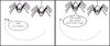 Cartoon: Tiersprache (small) by petronas tagged bertie,spinne,fliege,sprache,surreal
