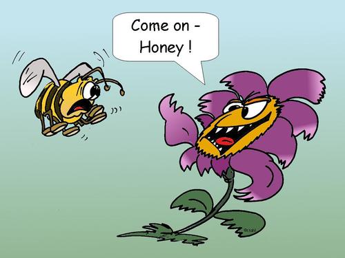 Cartoon: Honigblume (medium) by wista tagged honig,blume,biene,befruchtung,nektar,bienchen,blümchen,pflanze