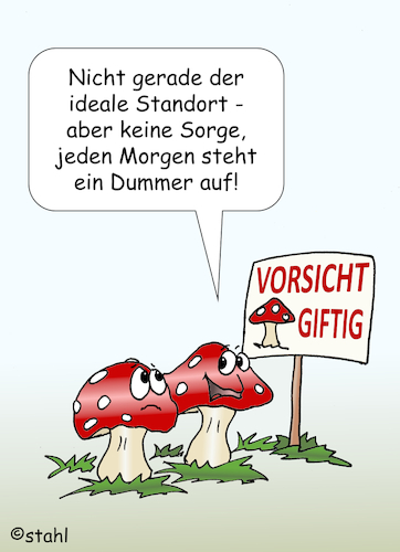 Cartoon: Pilzsaison (medium) by wista tagged pilzsammler,pilze,sammeln,pilzsaison,saison,giftpilz,gift,giftpilze,fliegenpilz,knollenblätterpilz,pilzgifte,essbar,genießbar,ungenießbar,rot,weiss,punkte,wald,walpilze,warnung,warnhinweise,vorsicht,tod,tödlich,pilzsammler,pilze,sammeln,pilzsaison,saison,giftpilz,gift,giftpilze,fliegenpilz,knollenblätterpilz,pilzgifte,essbar,genießbar,ungenießbar,rot,weiss,punkte,wald,walpilze,warnung,warnhinweise,vorsicht,tod,tödlich