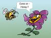 Cartoon: Honigblume (small) by wista tagged honig,blume,biene,befruchtung,nektar,bienchen,blümchen,pflanze
