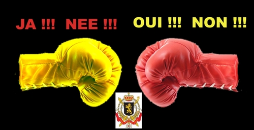 Cartoon: The new Belgium Flag (medium) by cabap tagged caricature