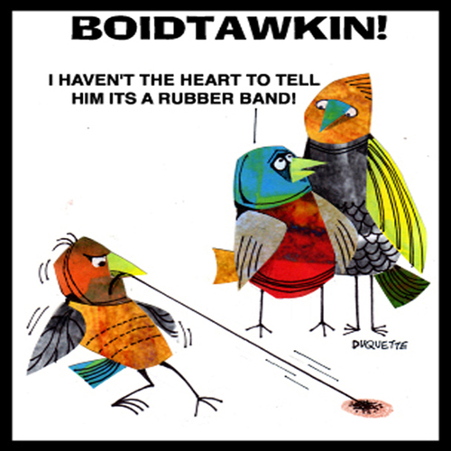 Cartoon: BOIDTAWKIN (medium) by STEVEN DUQUETTE tagged humorous,cartoon,colorful,stylized,birds