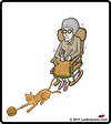 Cartoon: Knit Cat (small) by cartertoons tagged cat,knit,grandma,rocking,yarn