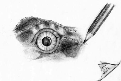 Cartoon: Eye of Speedy (medium) by swenson tagged eye,auge,speed,bartagame,animals