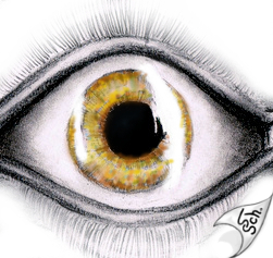 Cartoon: Golden-AIDA-eye (medium) by swenson tagged auge,eye,aida,gold