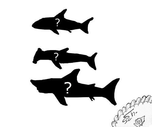 Cartoon: Hai-lauer 8 (medium) by swenson tagged hai,animal,animals,shark