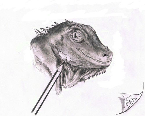 Cartoon: Iguana (medium) by swenson tagged lissard,iguana,echse,leguan,dragon,drache,animal,tier