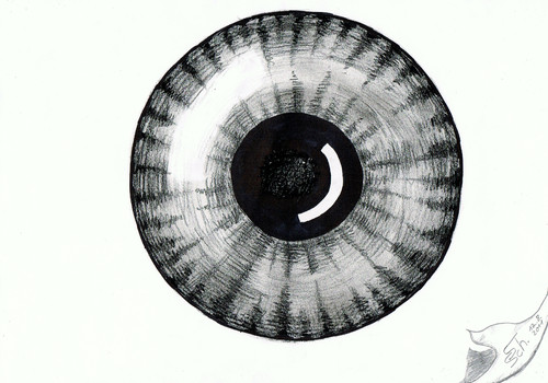 Cartoon: Iris (medium) by swenson tagged eye,auge,iris,mensch,human,people,shit,2011,2012