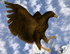 Cartoon: Adler (small) by swenson tagged adler,vogel,bird,eagl,sky,animal,warbird,raubvogel,tier,animals