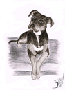 Cartoon: Hund 2 (small) by swenson tagged hund dog perro tier animal animals