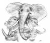 Cartoon: The Big 5 (small) by swenson tagged animals,afrika,lion,africa,elephant,elefant,rihno