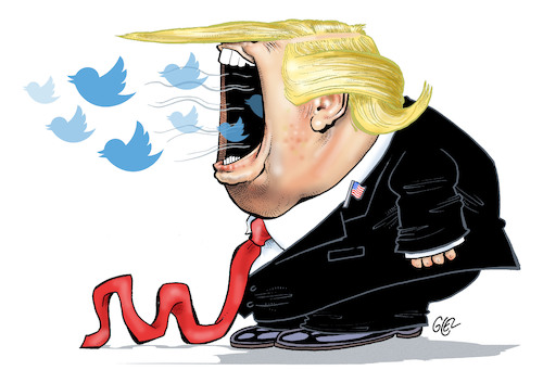 Cartoon: Donald Tweet (medium) by Damien Glez tagged donald,tweet,twitter,trump,president,united,states,america,donald,tweet,twitter,trump,president,united,states,america