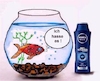 Cartoon: Anti-Schuppen-Shampoo (small) by sier-edi tagged fisch,aquarium,wasser,antischuppen,shampoo,hass