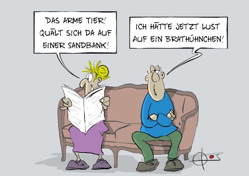 Cartoon: 20203331-WalHuhn (medium) by Marcus Gottfried tagged wal,huhn,mitleid,tierwohl,quälerei,sandbank,ostsee,nordsee,wal,huhn,mitleid,tierwohl,quälerei,sandbank,ostsee,nordsee