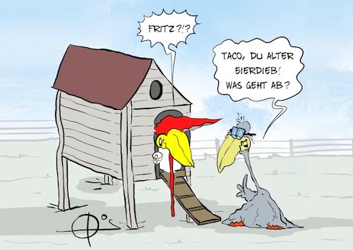 20250605-FritzBeiTaco