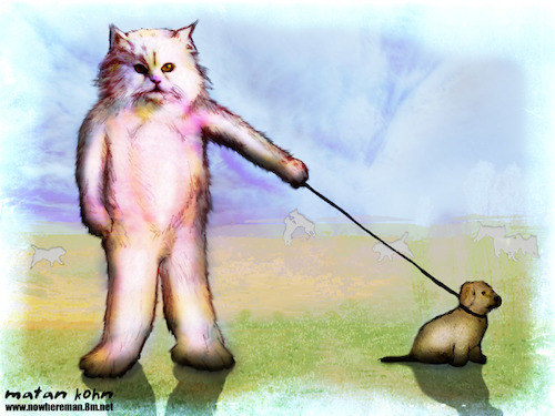 Cartoon: cats and dogs (medium) by matan_kohn tagged cat,cats,dog,dogs,matan,kohn,animals