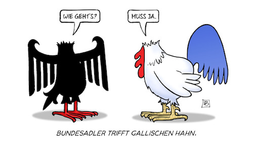 Bundesadler trifft gallischen Ha