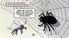 Cartoon: Bundestag-Netzwerk (small) by Harm Bengen tagged bundestag,it,sicherheit,netzwerk,trojaner,austauschen,hardware,software,spionage,computer,internet,fleige,spinne,netz,harm,bengen,cartoon,karikatur