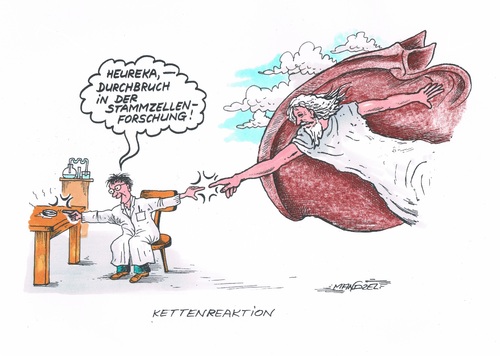 Cartoon: Die Erschaffung (medium) by mandzel tagged stammzellen,gott,wissenschaftler,kettenreaktion,stammzellen,gott,wissenschaftler,kettenreaktion