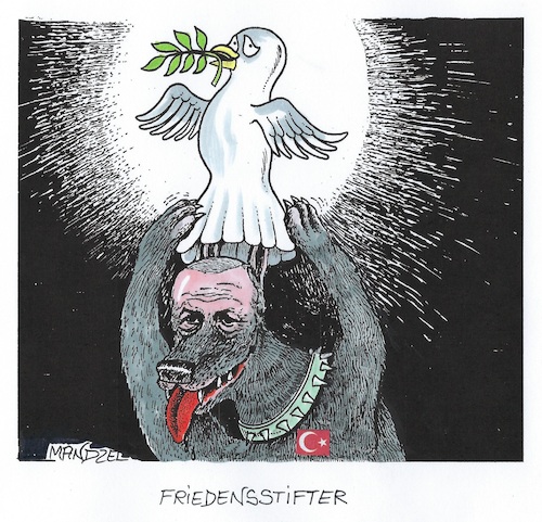 Erdogan will Frieden stiften