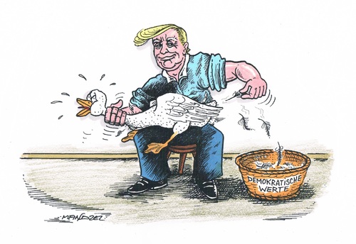 Cartoon: Trump rupft (medium) by mandzel tagged martinsgans,trump,federrupfen,demokratiewerte,martinsgans,trump,federrupfen,demokratiewerte