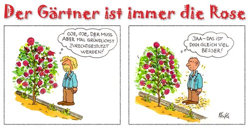 Cartoon: Rosengärtnerrose (medium) by Andreas Pfeifle tagged rose,gärtner,rosengärtner,zurechtstutzen,frisur