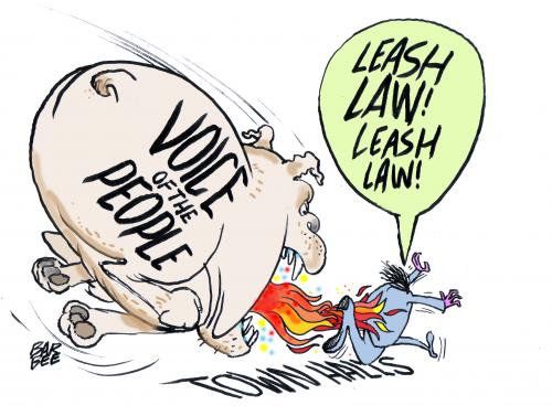 Cartoon: a word fr the folks (medium) by barbeefish tagged politicians