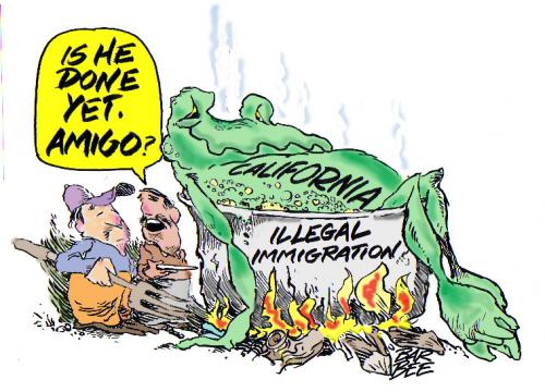 Cartoon: frog (medium) by barbeefish tagged done,yet,