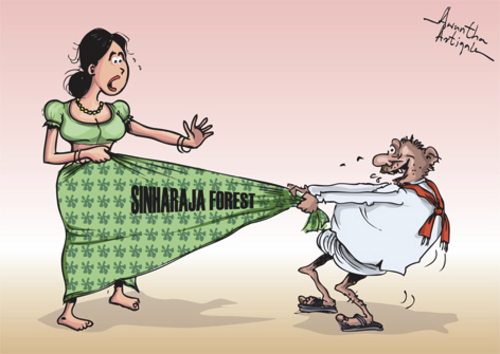 Cartoon: Sinharaja forest (medium) by awantha tagged sinharaja,forest