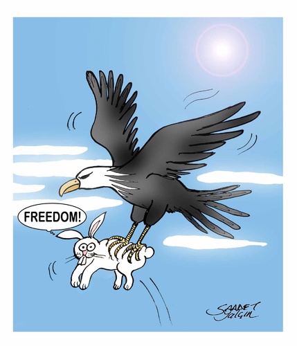 Cartoon: freedom?.. (medium) by saadet demir yalcin tagged freedom