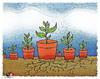 Cartoon: soil... (small) by saadet demir yalcin tagged sdy saadet syalcin turkey cartoon natura soil