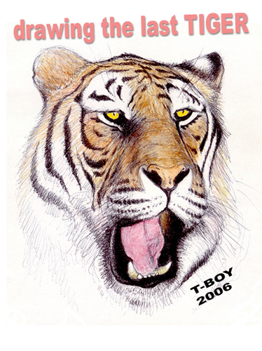 Cartoon: TIGER (medium) by T-BOY tagged tiger
