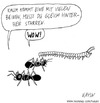 Cartoon: Ameisen und Tausendfüßler (small) by KAYSN tagged ameise,tausendfüßler