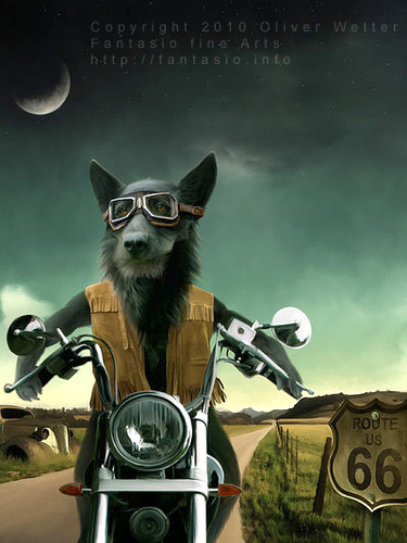 Cartoon: Route sixtysix (medium) by fantasio tagged easy,rider,wolf,lonesome,biker,harley,route,66,kult,anthro