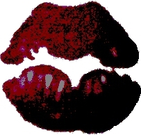 Cartoon: Kiss (medium) by lesemaus tagged kuss,kiss