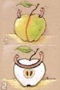 Cartoon: apple (small) by Liviu tagged apple worm boundary 