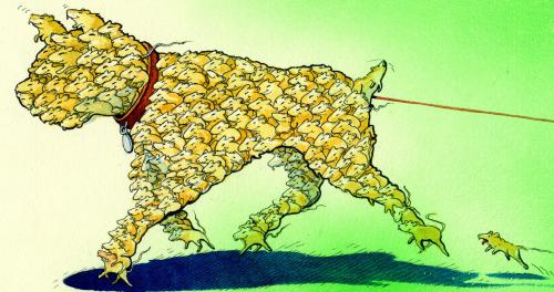 Cartoon: My Dog Built By Mice (medium) by Pohlenz tagged dog,pet,hund,mouse,mice,animals,muster,flecken,haut,hund,maus,tiere,mäuse,zusammensetzen