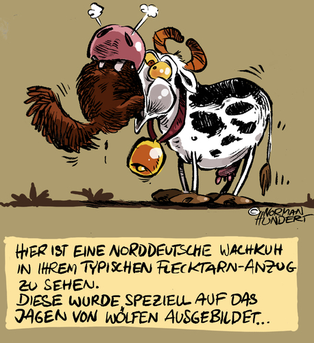 Cartoon: 123 Wachkuh (medium) by norman100 tagged kuh,wolf,irre