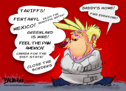 Cartoon: Trump Is Insane (medium) by dbaldinger tagged trump,usa