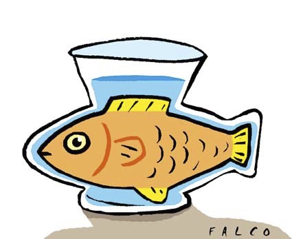 Cartoon: fishbowl (medium) by alexfalcocartoons tagged fishbowl
