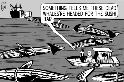 Cartoon: Whale sushi (medium) by sinann tagged whale,hunting,meat,sushi,bar,minke