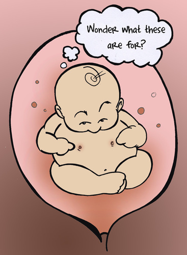 Cartoon: pre birth wombtoons hehehee (medium) by cartuneman tagged cartoon